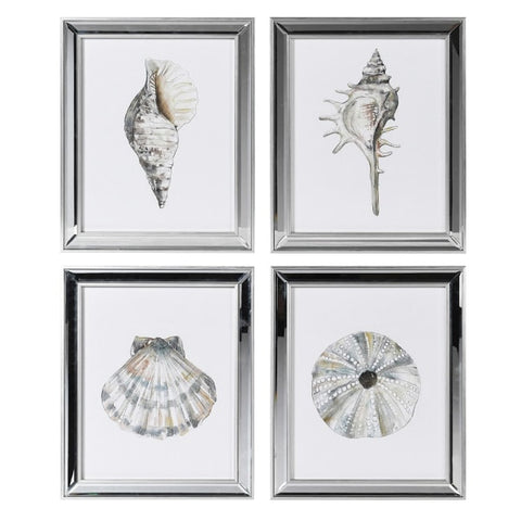 Set of 4 shell prints