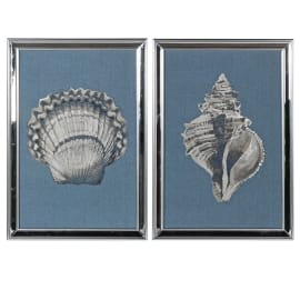 Shell prints (Set of Two)